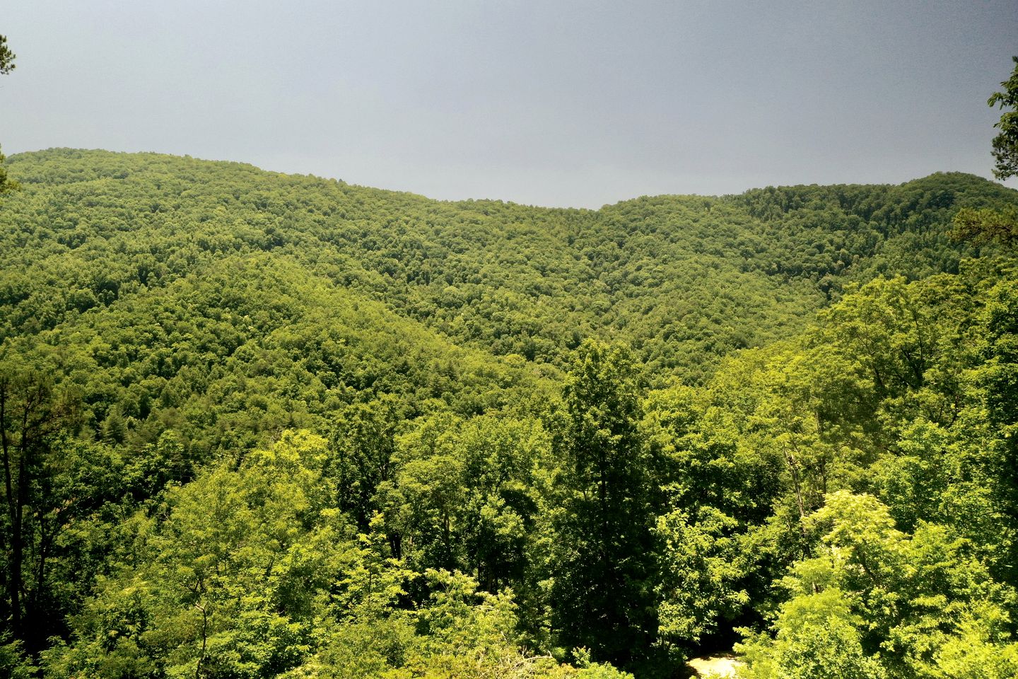 Pet-Friendly Glamping Cabin with Panoramic Views near Nantahala National Forest