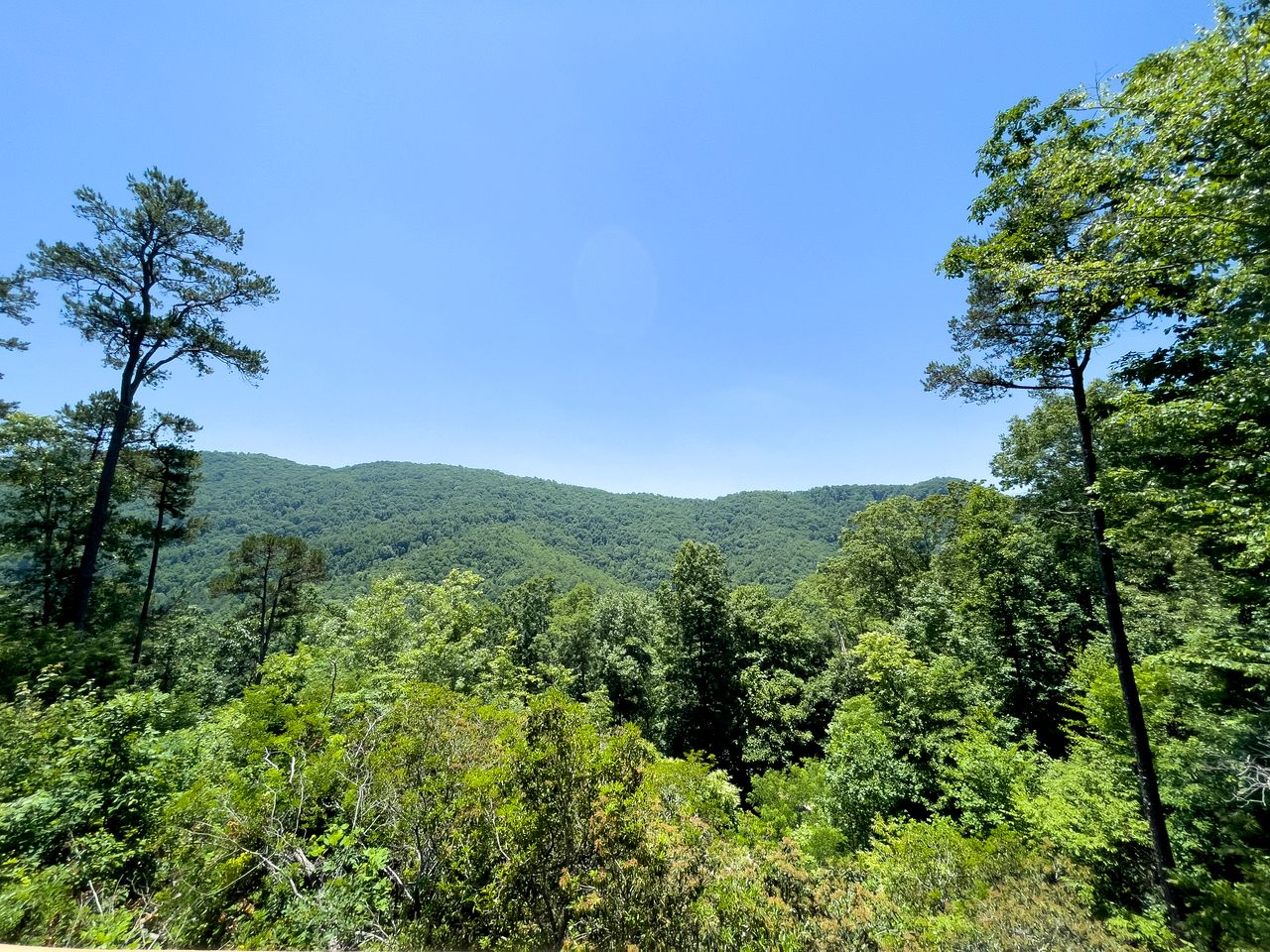 Pet-Friendly Glamping Cabin with Panoramic Views near Nantahala National Forest