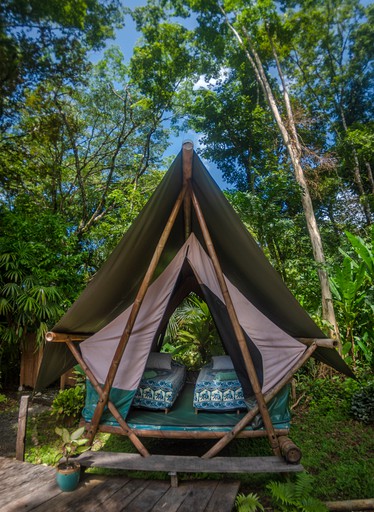 Tented Cabins (Costa Rica, Carate, Puntarenas)