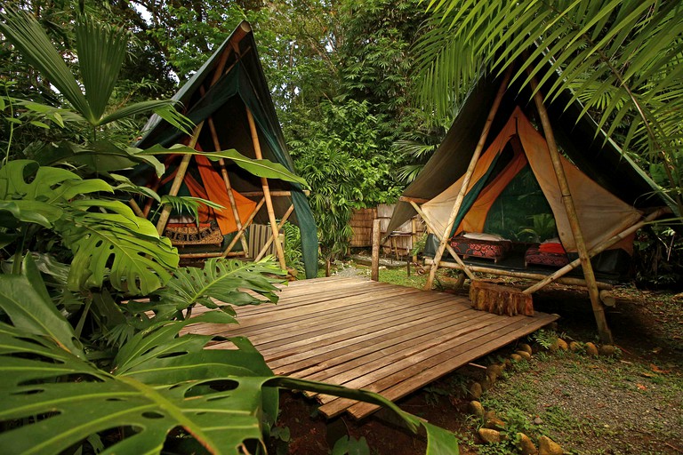 Tented Cabins (Costa Rica, Carate, Puntarenas)