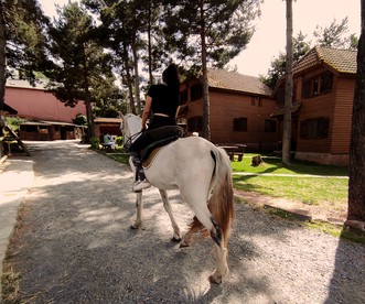 undefined photo 3