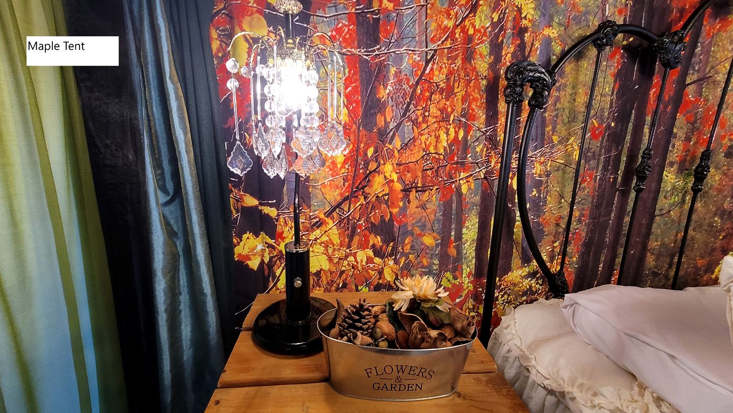 Lovely Glamping Tents for Romantic Weekends in Nature in Washington