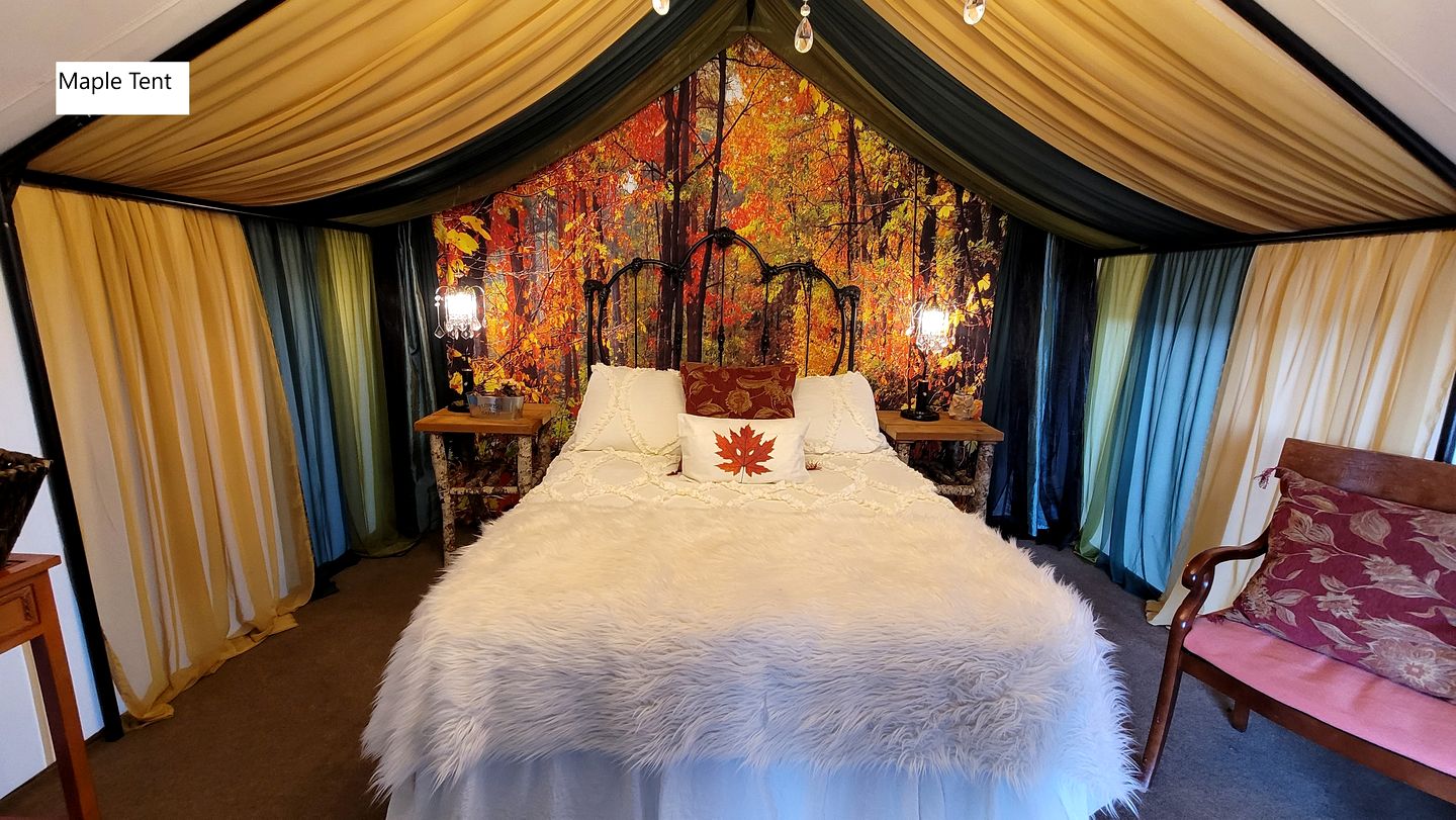Lovely Glamping Tents for Romantic Weekends in Nature in Washington