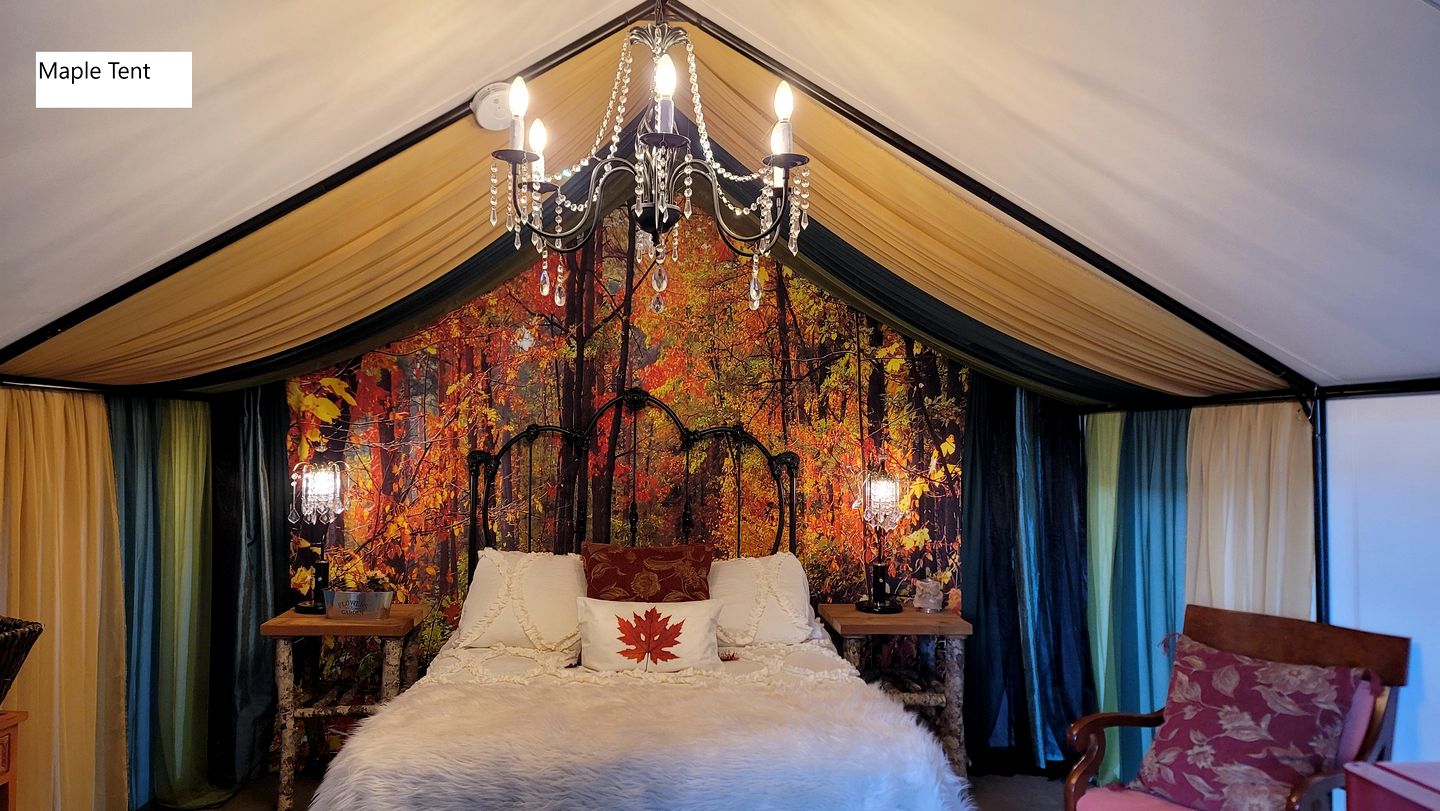 Lovely Glamping Tents for Romantic Weekends in Nature in Washington