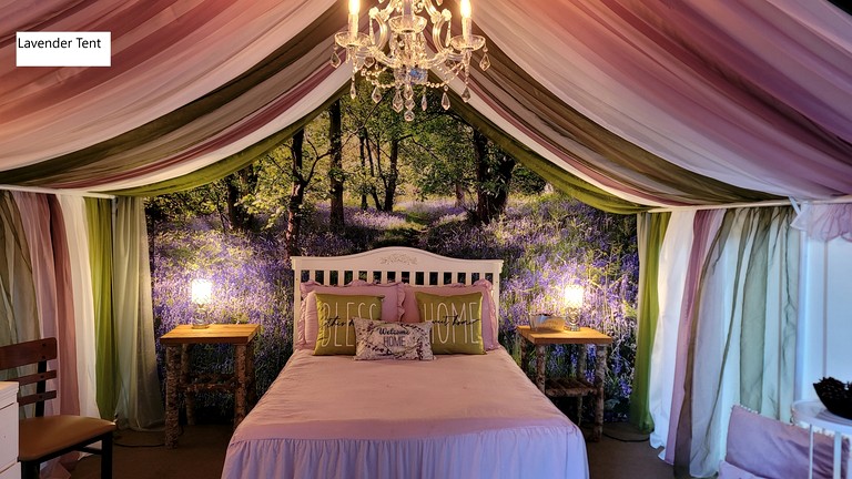 Safari Tents (United States of America, Lilliwaup, Washington)