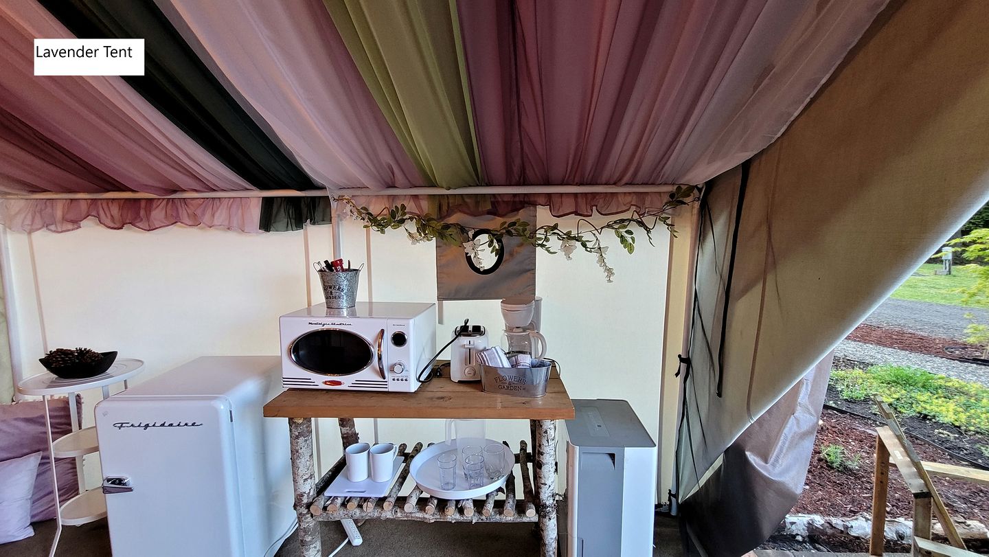 Lovely Glamping Tents for Romantic Weekends in Nature in Washington