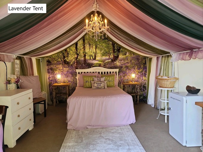 Safari Tents (United States of America, Lilliwaup, Washington)