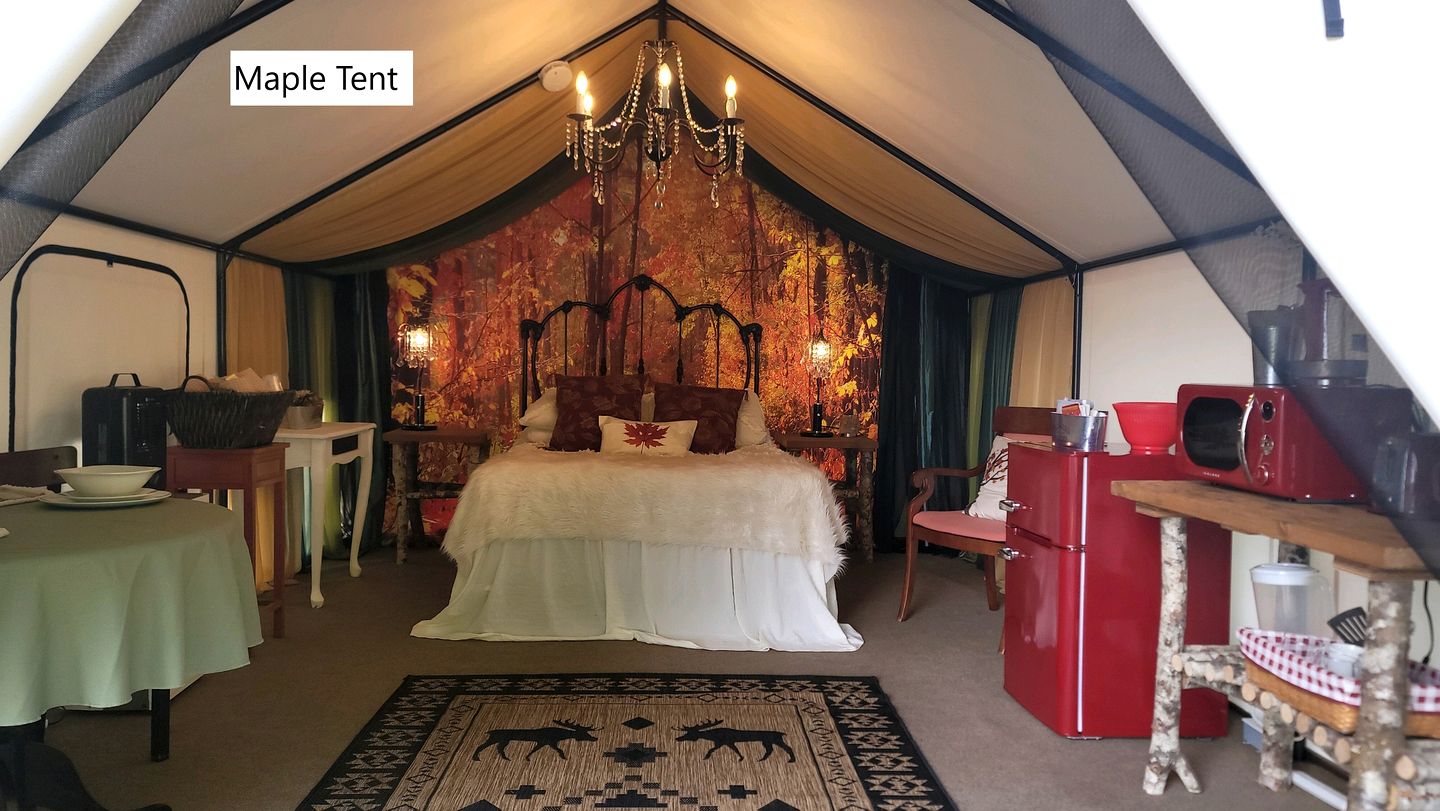 Lovely Glamping Tents for Romantic Weekends in Nature in Washington