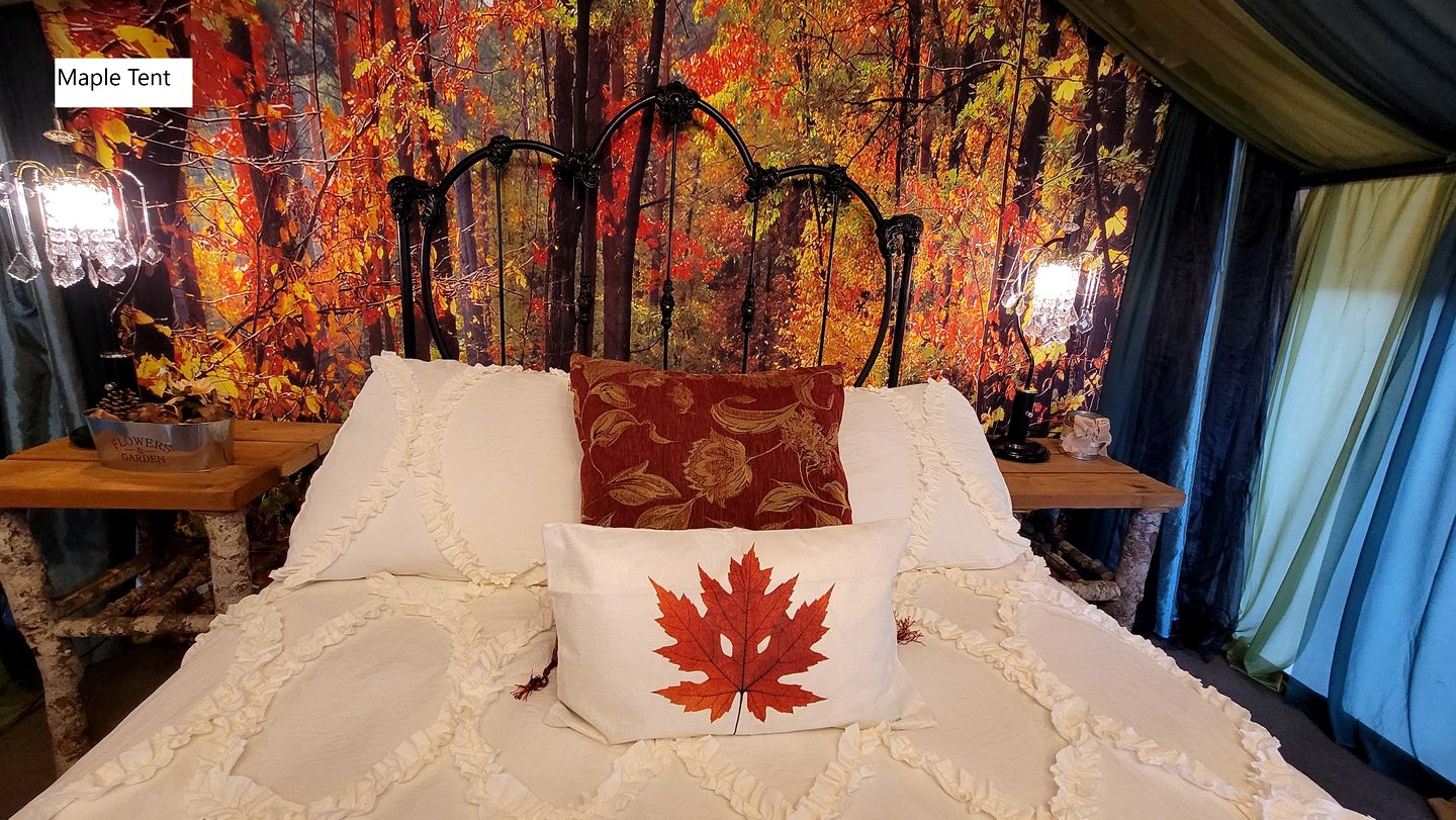 Lovely Glamping Tents for Romantic Weekends in Nature in Washington