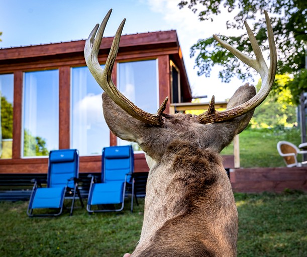 Tiny Houses (United States of America, Preston Hollow, New York)