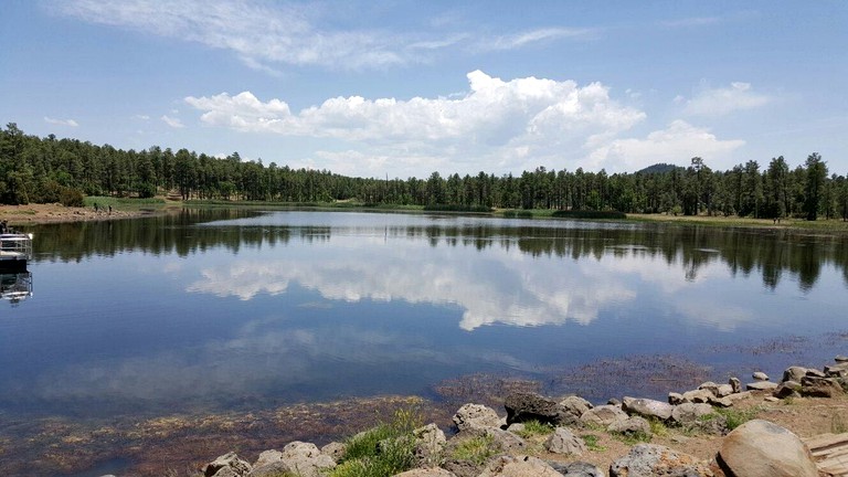 Cabins (United States of America, Lakeside, Arizona)