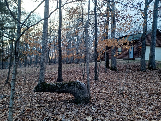 Cabins (United States of America, De Soto, Missouri)
