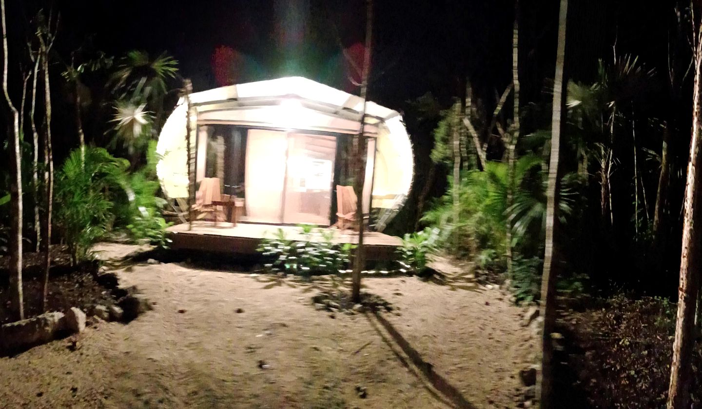 Equipped Tented Cabin Nestled Among the Towering Trees in Mexico