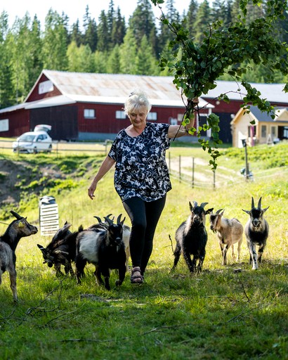 Yurts (Sweden, Bjurholm, Västerbotten)