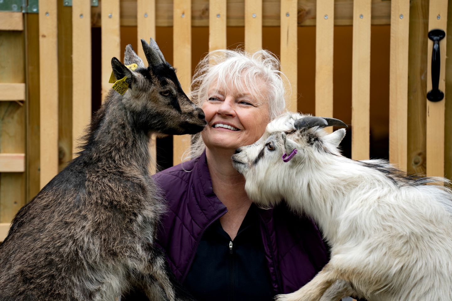 Go Glamping with Baby Goats at this Dreamy Yurt in Sweden