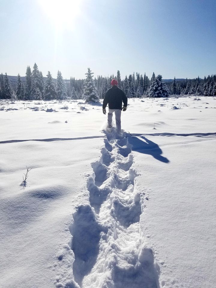 Luxury Cabin Rental for Two with BBQ and Fire Table in Nordegg, Alberta