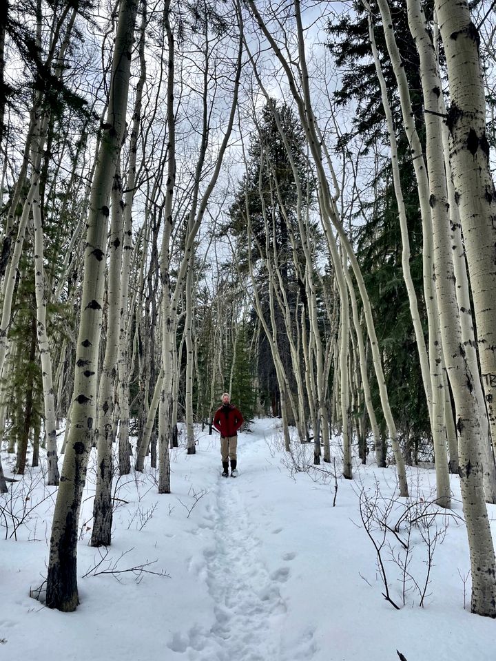 Luxury Cabin Rental for Two with BBQ and Fire Table in Nordegg, Alberta