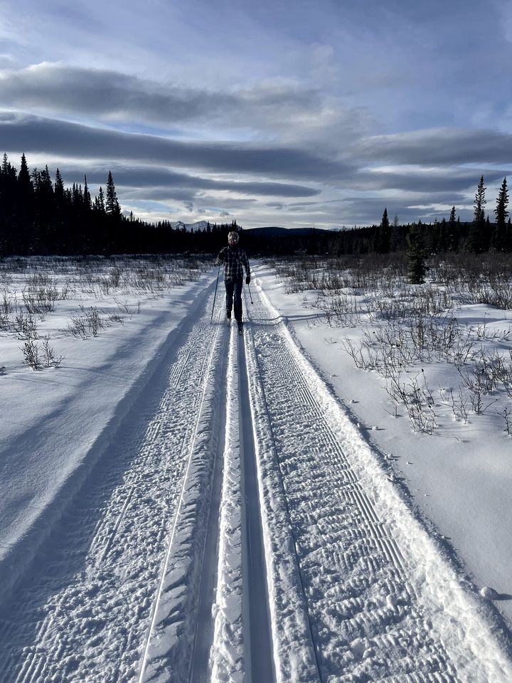 Secluded Cabin Rental for Romantic Weekends Away in Nordegg, Alberta