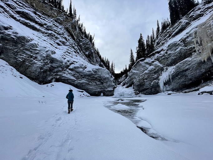 Cabins (Canada, Nordegg, Alberta)