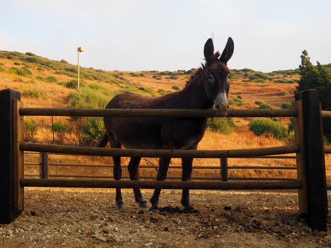 Yurts (Spain, Tarifa, Andalusia)