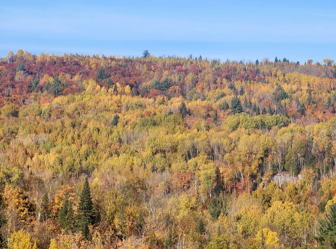 Cottages (Canada, --, --)