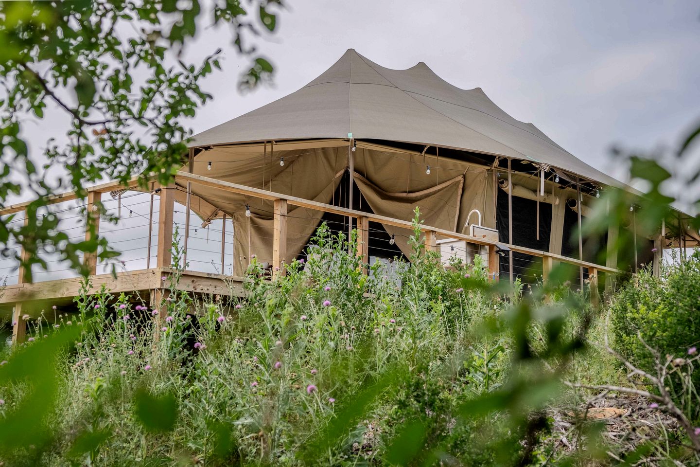 Exceptional Safari Tent Rental in Burnet, Texas, for Unforgettable Glamping Escapes