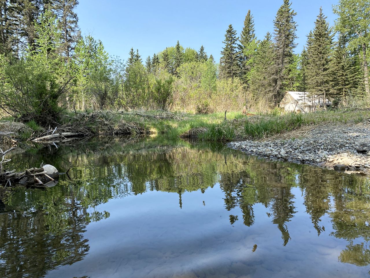 Fully-Equipped, Luxury, Bragg Creek Bell Tent in Alberta, Canada