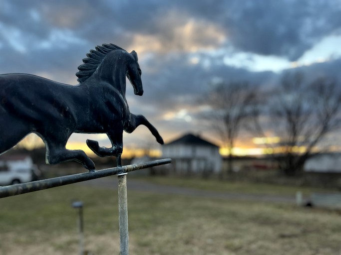 Bell Tents (United States of America, Edinburg, Virginia)