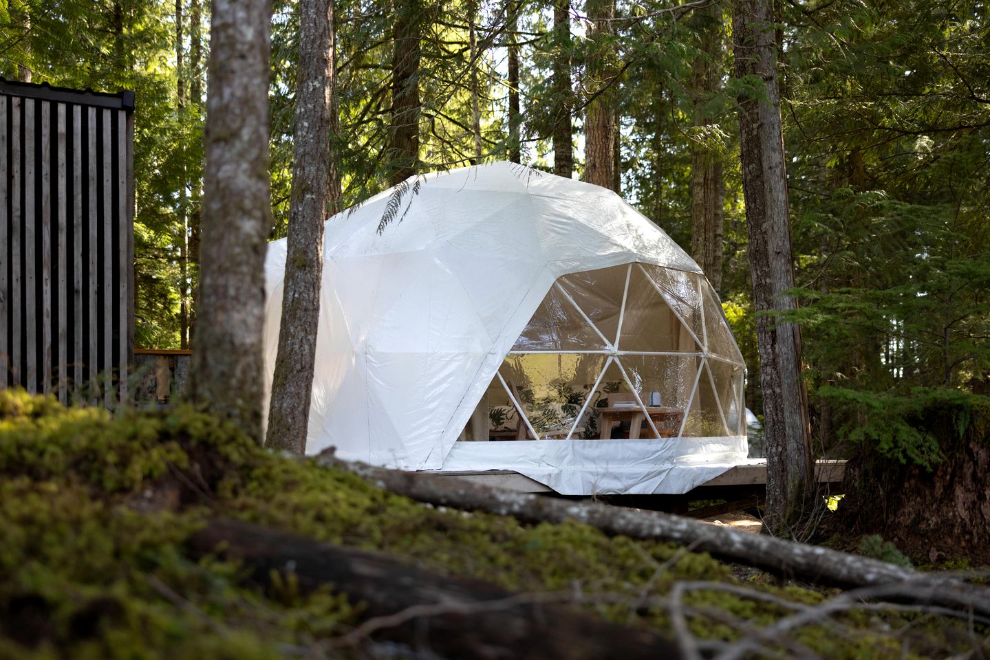 Pet-Friendly Dome in Eco-Friendly Glamping Destination in Sechelt, BC