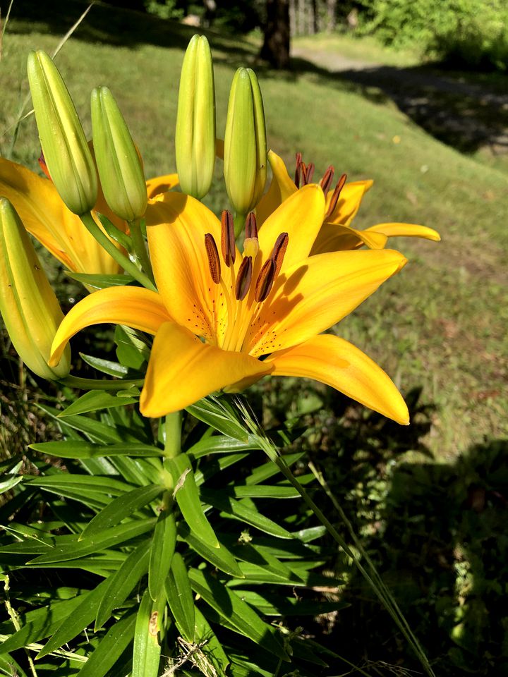 Charming Cabin with Views of the Great Smoky Mountains in Whittier, North Carolina