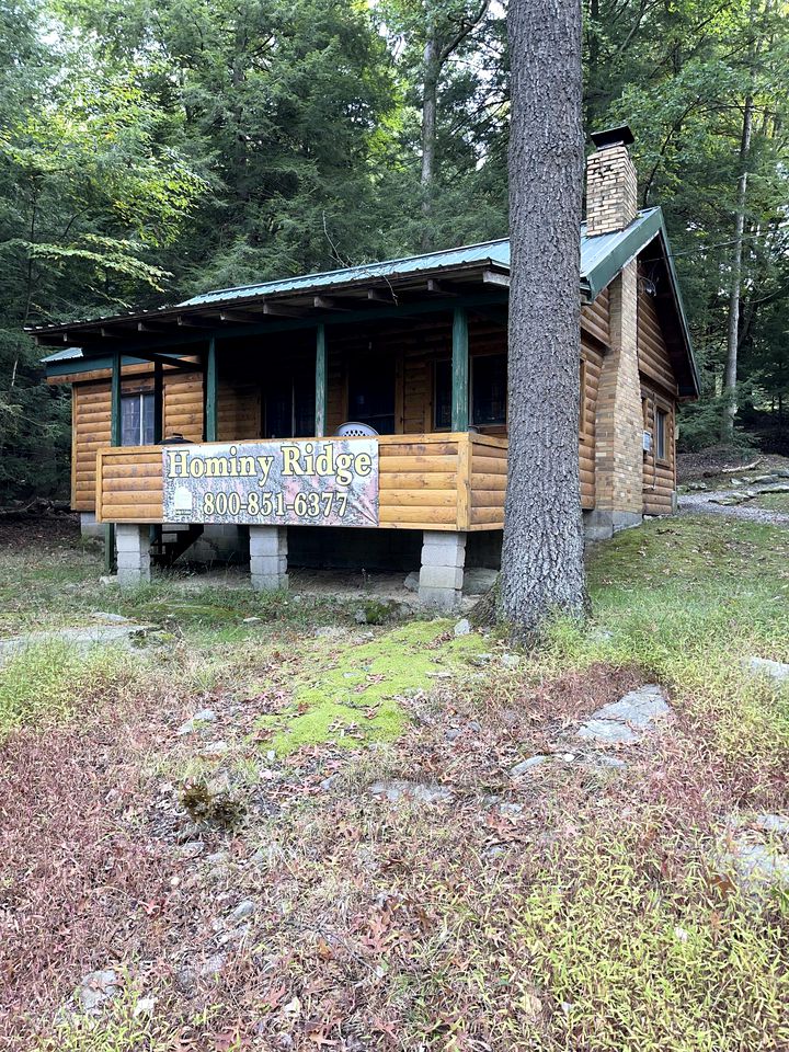 Pet-Friendly Cabin for 6 Near Cook Forest, Ideal for Glamping in Pennsylvania