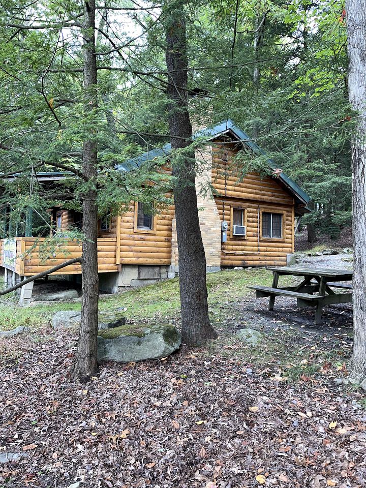 Pet-Friendly Cabin for 6 Near Cook Forest, Ideal for Glamping in Pennsylvania