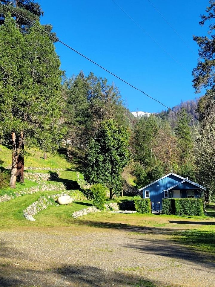 Cabins (United States of America, Big Flat, California)