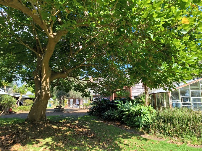 Bell Tents (New Zealand, Waiheke Island, Auckland)