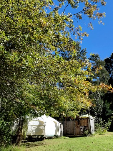 Bell Tents (New Zealand, Auckland, North Island)