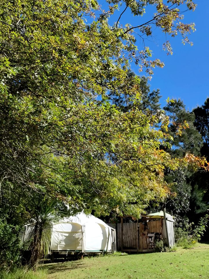 Luxury Hillside Glamping with Outdoor Kitchen near Waiheke Island, New Zealand