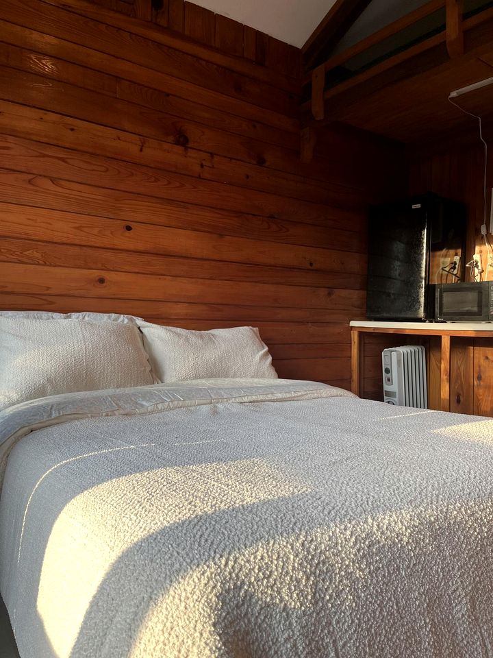 Verdant Rustic Cabin Retreat Near Chipola River, Florida