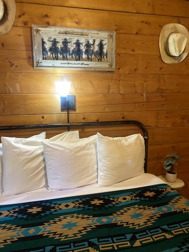 Cabins (United States of America, Bluff Dale, Texas)