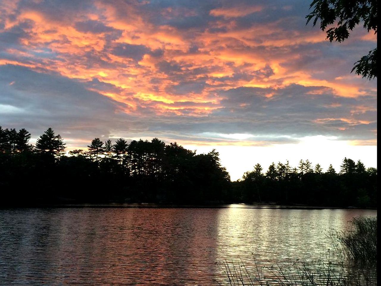 RU Tentrr Riverside Lavender Farm Standish, Maine, Tented Cabins