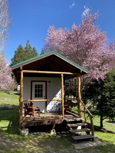Cozy Studio-Style Cabin for a Glamping Getaway in Clearwater, Oregon | Cabins (Idleyld Park, Oregon, United States of America)
