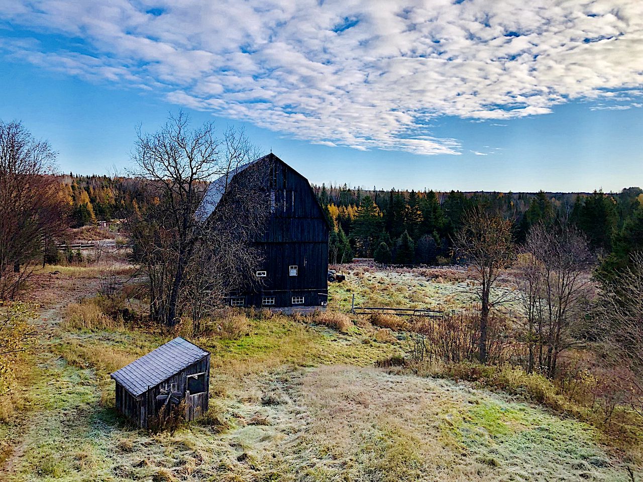 Charming Cabin Rental for Four near Deer Lake in Ontario, Canada