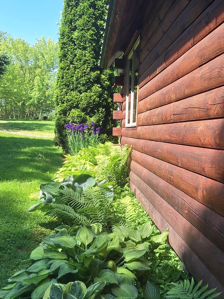 Charming Creekside Log Cabin with Wood Burning Stove Overlooking the Neshannock Creek, Western PA