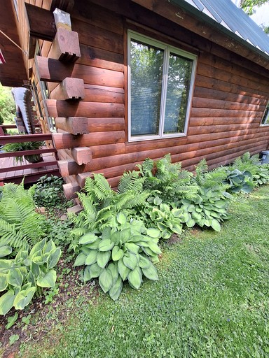 Log Cabins (United States of America, Volant, Pennsylvania)