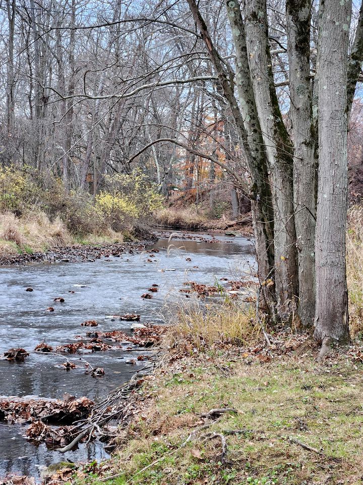 Charming Creekside Log Cabin with Wood Burning Stove Overlooking the Neshannock Creek, Western PA