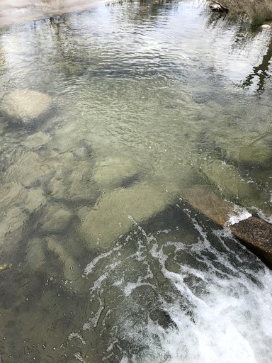 Cabins (Fredericksburg, Texas, United States)