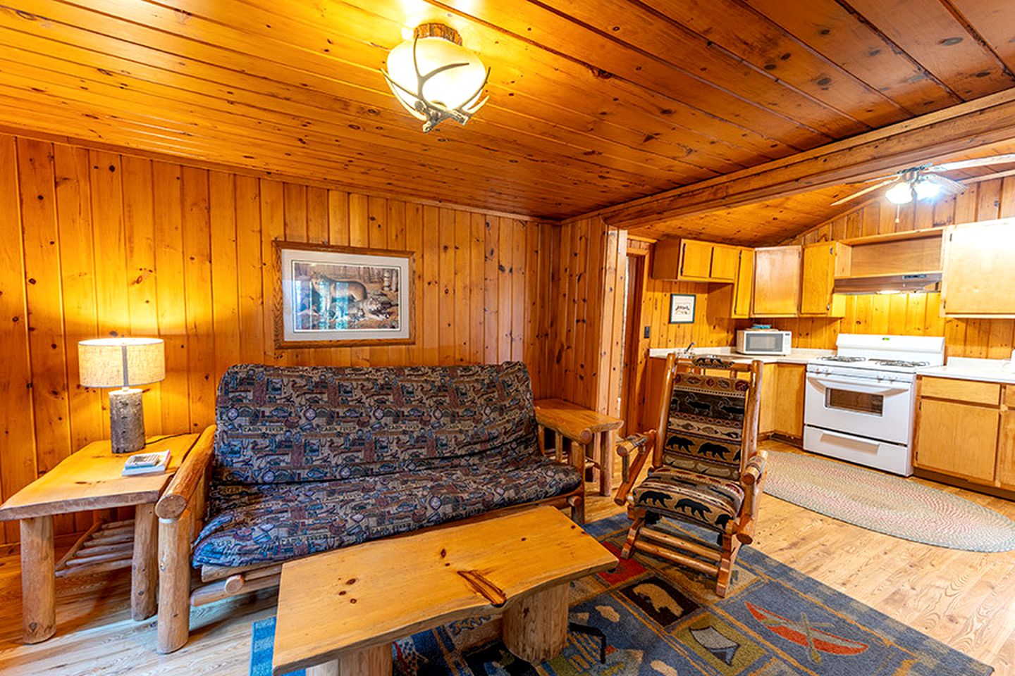 Charming Pet-Friendly Cabin in Ely, Ideal for Getaways to Nature in Minnesota