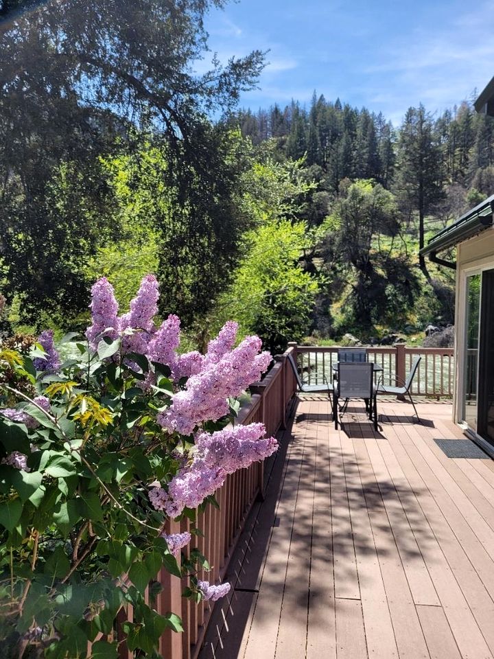 Elegant Cottage Rental on Banks of Trinity River, California
