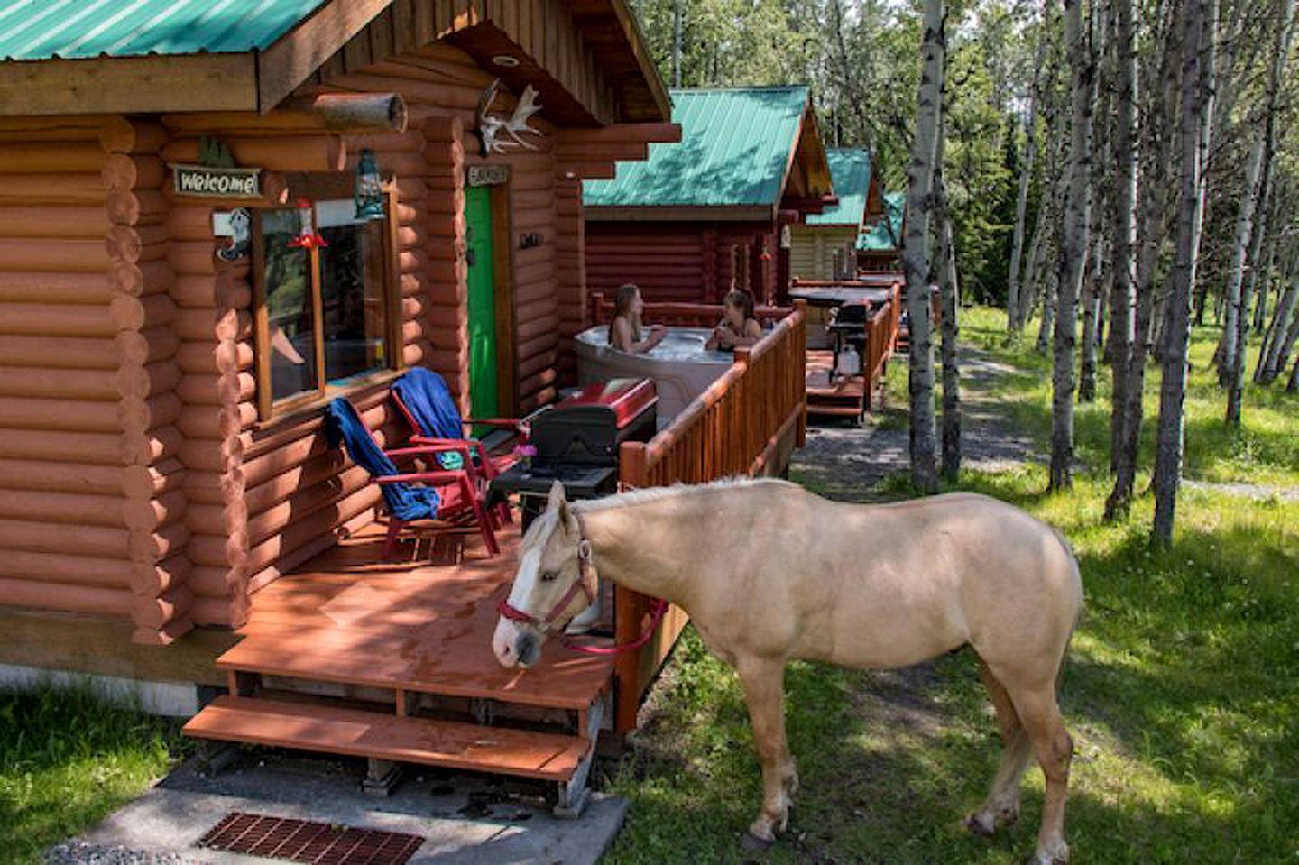Countryside Glamping in a Log Cabin near Clearwater, British Columbia