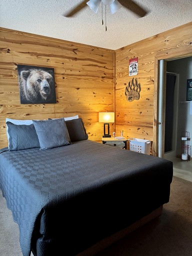 Cabins (United States of America, Mountain View, Arkansas)