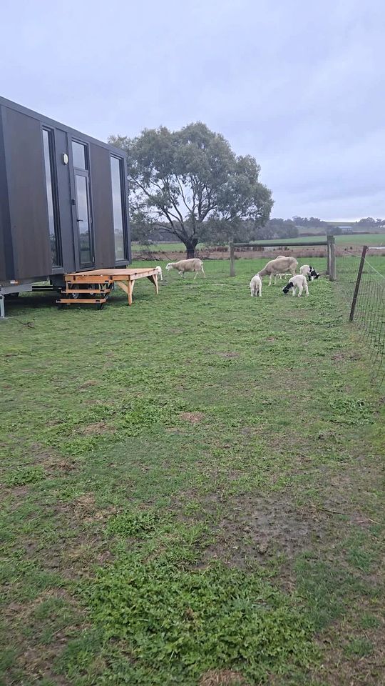 Cozy Tiny House Stay with Farm Animals near Ballarat, Victoria